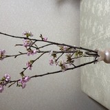 わー先生　発表会